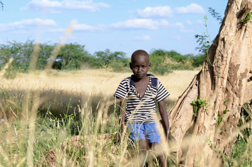 Kenya: 2.5 Million People Hit by Deep Food Insecurity as Drought Ravages Communities - Vimarsana News