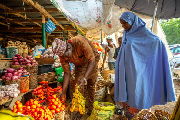 Amid Rising Food Prices, Climate Shocks, Conflict, 2021 World Food Day Seeks a Future Without Hunger - Vimarsana News