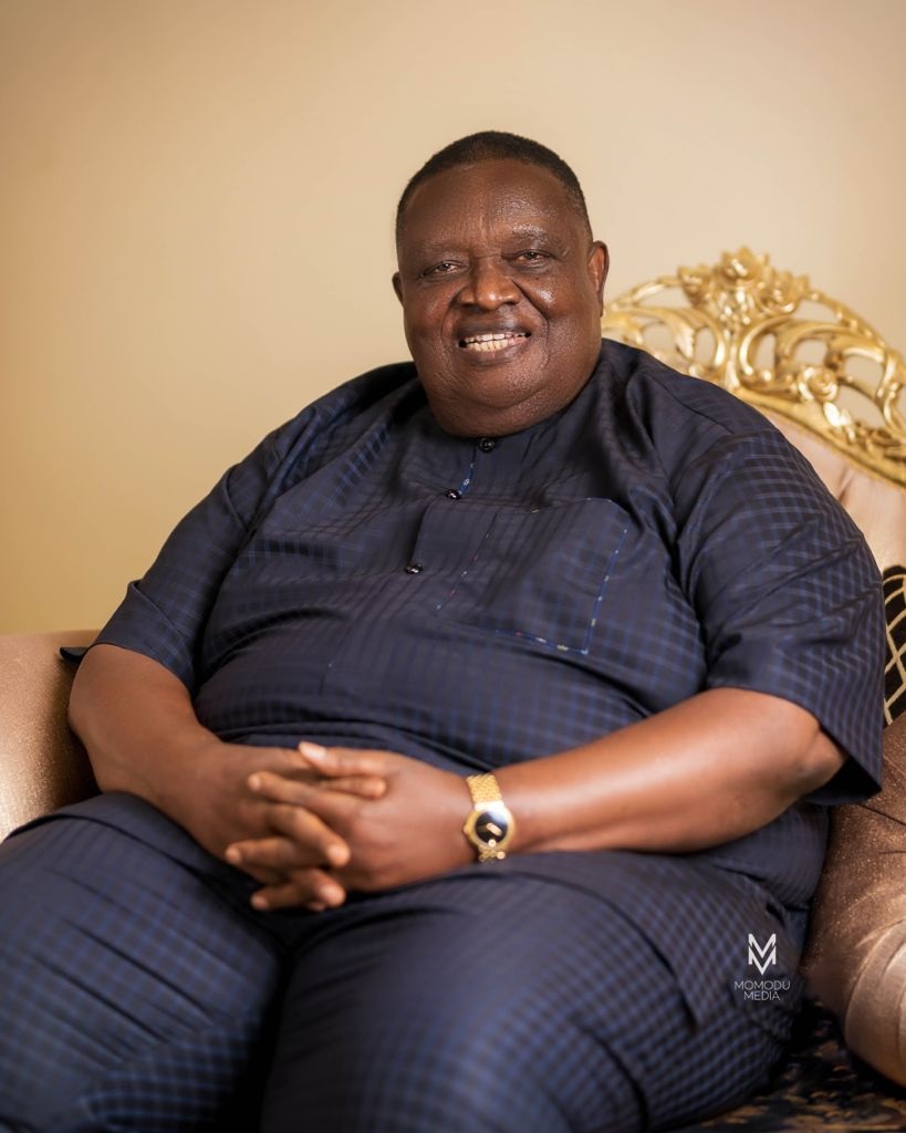 Iwuanyanwu And The Proverbial Eran Ìbíye - Vimarsana News