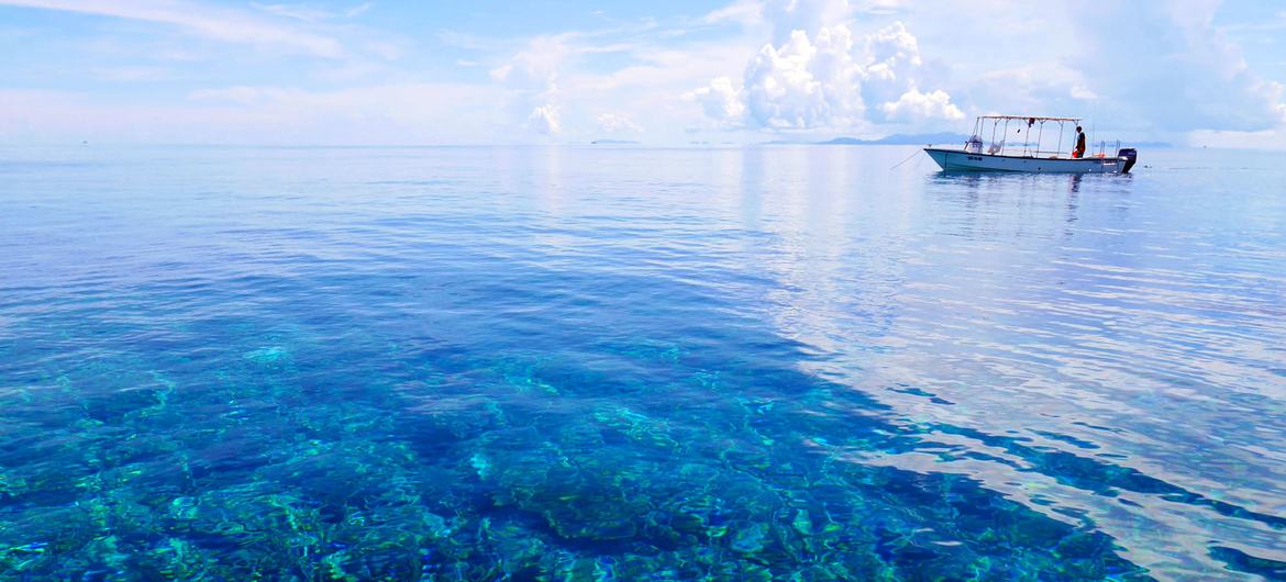 Teaching key to better ocean protection, says UNESCO chief - Vimarsana News