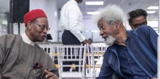 Obidients: Pharaoh that knew not Soyinka - Vimarsana News