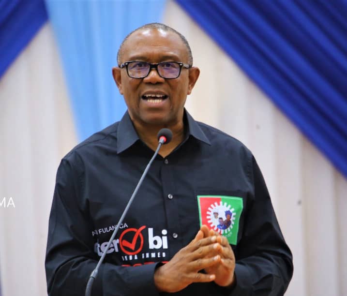 Peter Obi: A Tsetse Fly Perching On The Scrotum - Vimarsana News