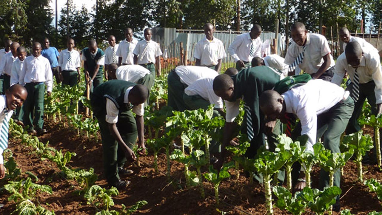 Advocating Practical Agriculture In Schools - Vimarsana News