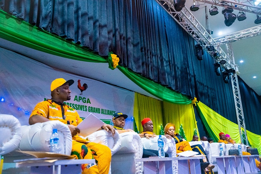 Soludo's Commissioner, Ezeokenwa Emerges APGA National Chairman - Vimarsana News