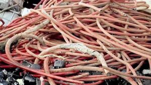 Vandalizing EEDC Property