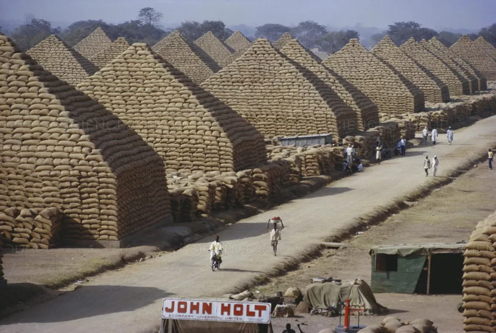 Groundnut pyramids, Nigeria